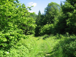 kozlova-gora-023